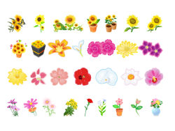 各种植物花卉矢量图3