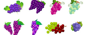 葡萄提子水果矢量图