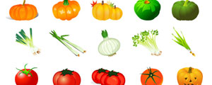 南瓜,番茄,大蒜蔬菜矢量图