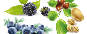 新鲜,蓝莓,梨等水果矢量图