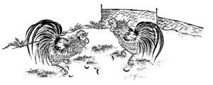 公鸡吃米传统图矢量图