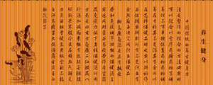 古代传统竹简矢量图