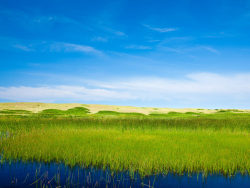 草地湿地高清图片