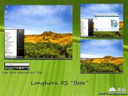 Longhorn RS Beta