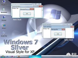 Windows 7 Silver
