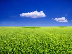 蓝天白云草从草地高清图片-2