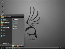 Windows Zune Black