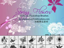 高清晰春天里的花朵PS笔刷