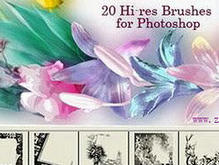 高清晰温馨花朵装饰边框笔刷 (Romantic Frames Photoshop Brushe