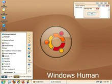 Windows Human