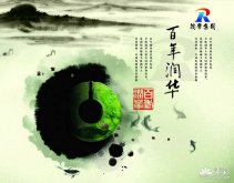 中国风企业形象海报psd素材