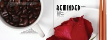咖啡豆玫瑰花版式设计psd素材