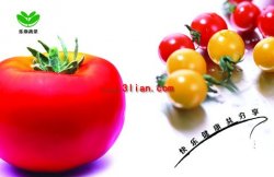 西红柿蔬菜ps海报模板