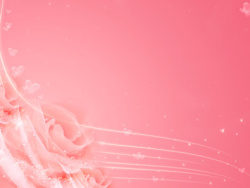 粉红色梦幻玫瑰花背景图片素材