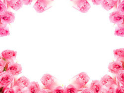 粉红色玫瑰花边图片素材