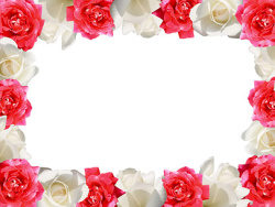 红玫瑰白玫瑰花边图片素材