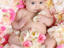 婴儿花朵图片素材