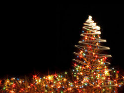 闪光的圣诞树图片素材