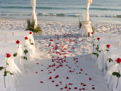 海边浪漫婚礼图片素材-2