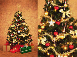 挂满礼物的圣诞树3