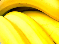 香蕉特写精品图片素材-2