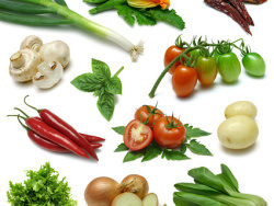 各种蔬菜精品图片素材