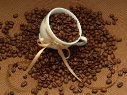 咖啡豆精品图片素材