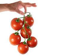 手拿起一串西红柿高清图片