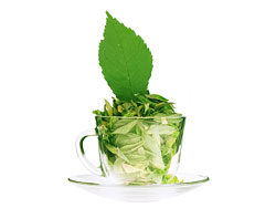 绿茶高清图片