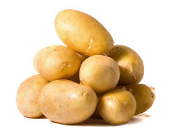 土豆高清图片-4