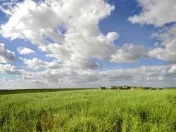 广阔的大草原高清图片