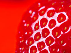 草莓高清图片-2