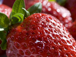 草莓高清图片-8