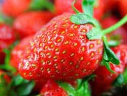 草莓高清图片-9