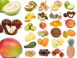水果蔬菜饮食系列图片素材-2