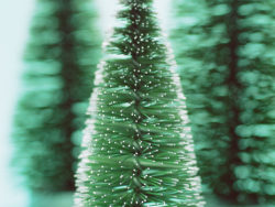 绿色简单圣诞树高清图片2