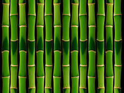 绿色竹子背景图片素材-2
