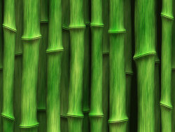 绿色竹子背景图片素材