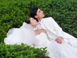 草地上的婚纱照高清图片