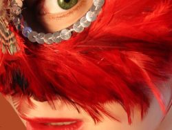 红色羽毛女性面具高清图片