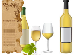 白葡萄酒酒瓶与酒杯矢量图