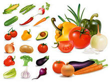 几种常见蔬菜矢量图