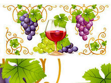 葡萄与葡萄酒主题矢量图