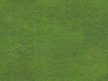 足球场绿色草地素材