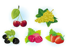 樱桃,葡萄,提子,草莓水果矢量图