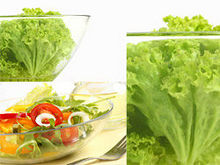 蔬菜食物高清图片