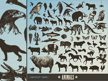 动物集合矢量图