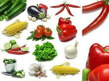 新鲜蔬菜类高清图片