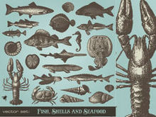 海鲜动物矢量图