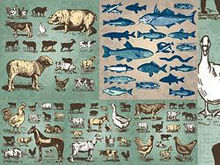 手绘家禽鱼类动物矢量图